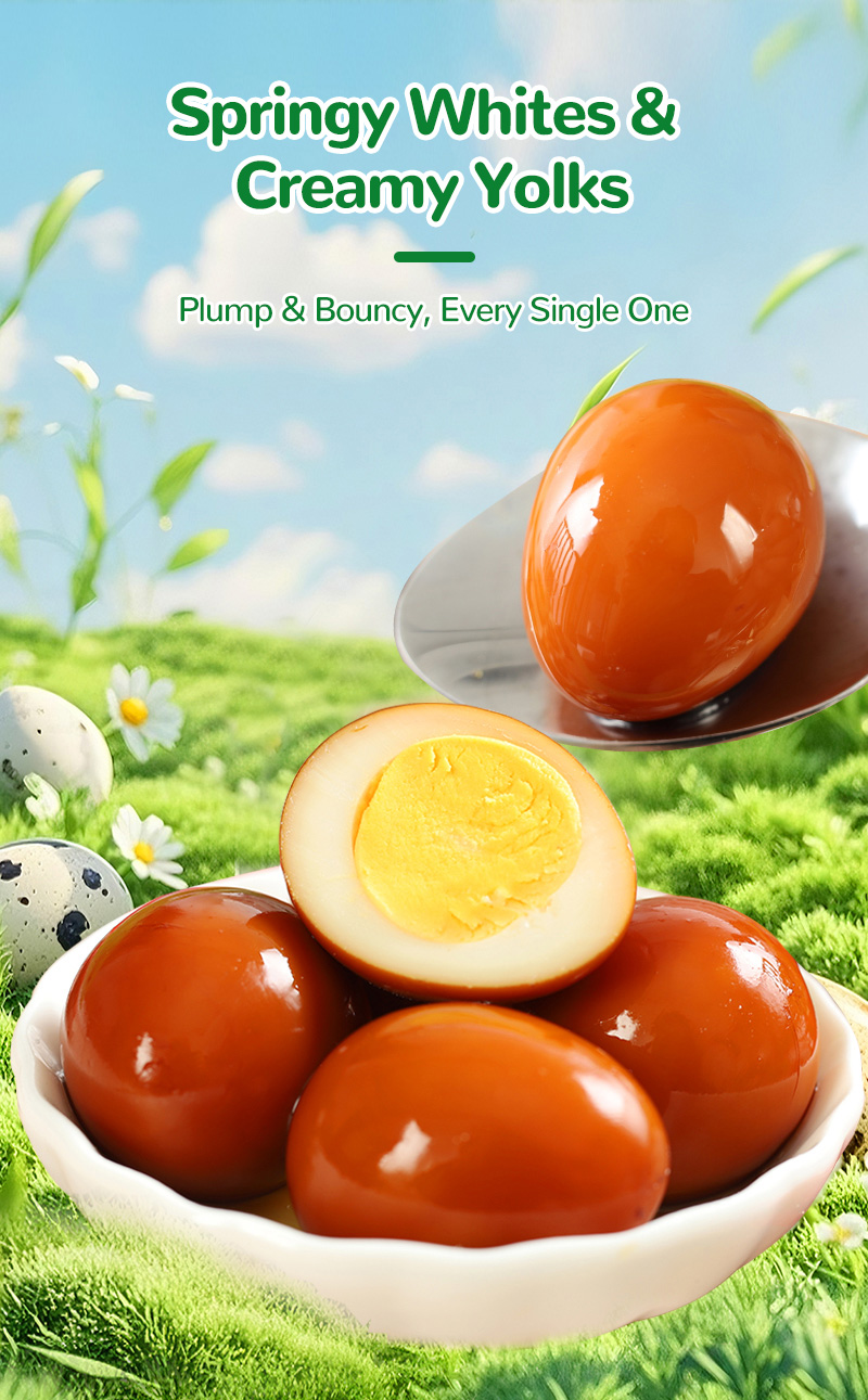 鹌鹑蛋散称英文版_04 鹌鹑蛋散称英文版_04