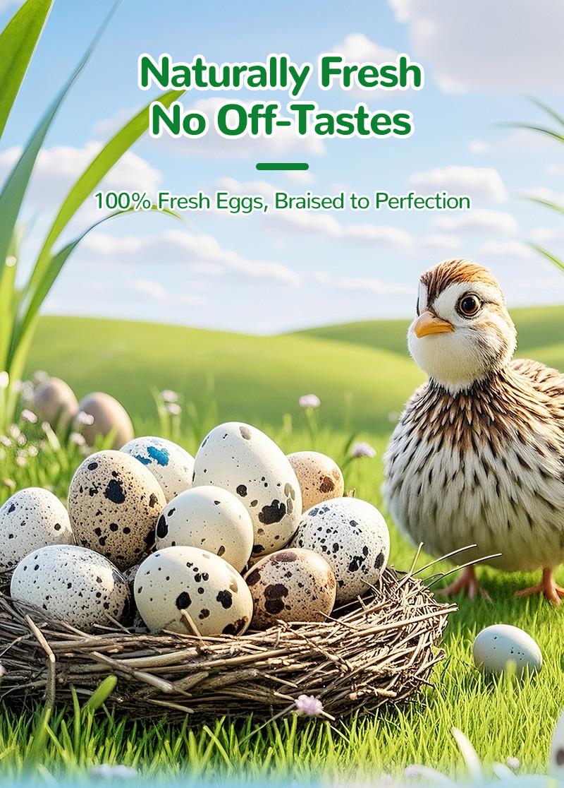 鹌鹑蛋散称英文版_03 鹌鹑蛋散称英文版_03