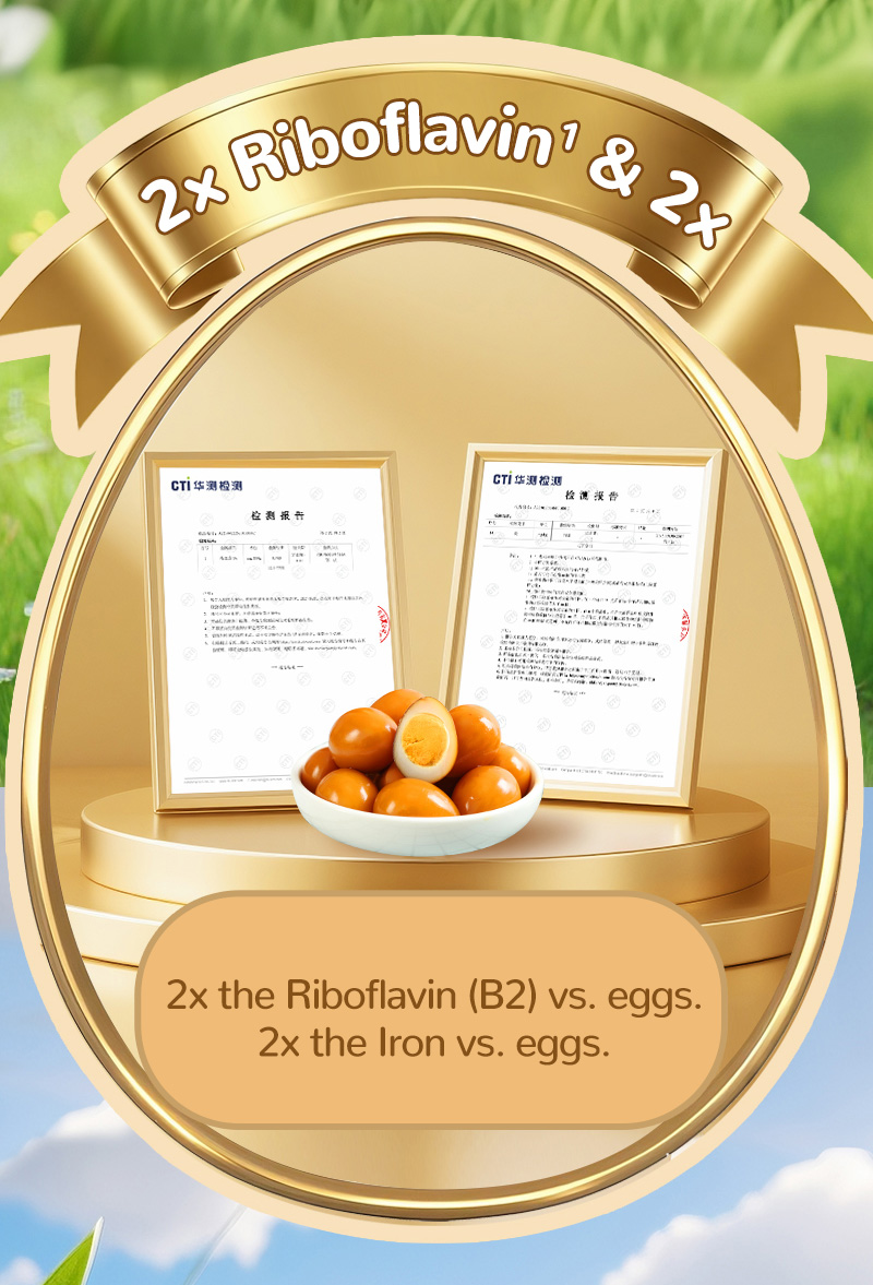 鹌鹑蛋散称英文版_02 鹌鹑蛋散称英文版_02